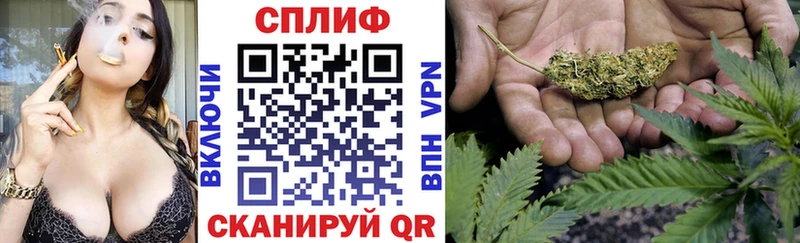 купить   Лагань  Шишки марихуана ГИДРОПОН 